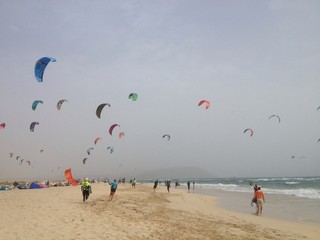 Kite surfs