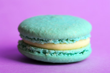 Gentle colorful macaroon on color background