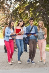 Happy students walking and chatting outside