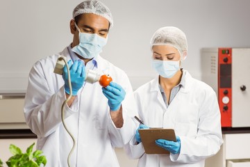 Food scientist using device on pepper