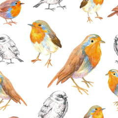 pencil sketch seamless pattern with bird robin and sparrow