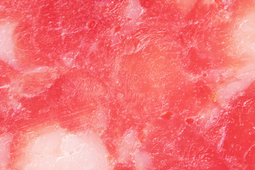 Slice of salami, macro view