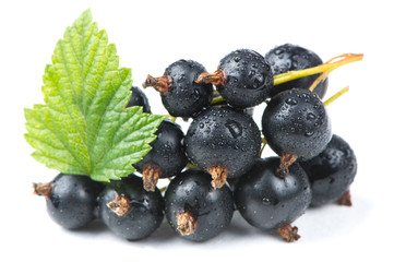 Blackcurrants with Green Leaf Isolated on White Background