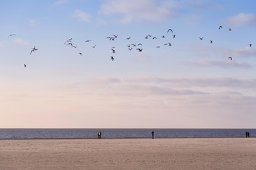 Beach of Amrum