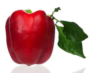 Red pepper