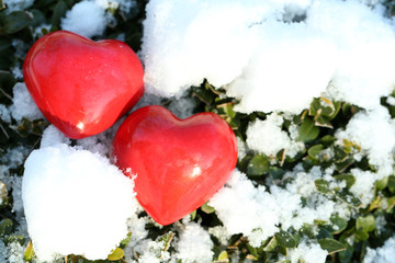 Two red frozen heart on snow and green plants background