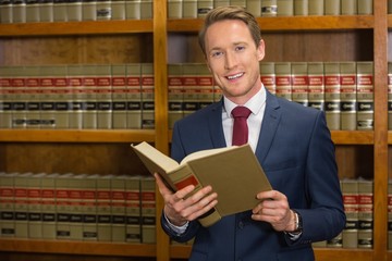 Handsome lawyer in the law library