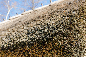 Fototapeta na wymiar The roof covered with straw, close-up