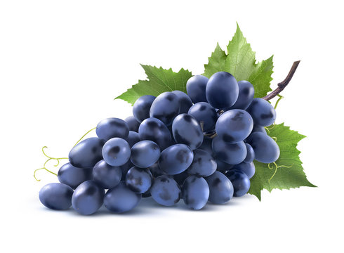 Blue grapes bunch with leaf isolated on white background