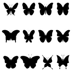 Butterflies, black silhouettes