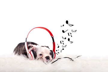 Musik hören