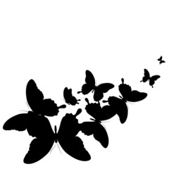 butterflies design
