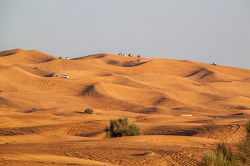 Fototapeta na wymiar Safari in the Dubai desert