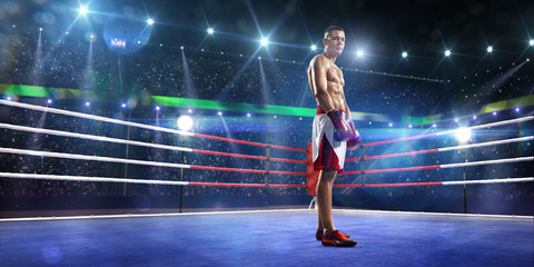 Professionl boxer is standing on the ring
