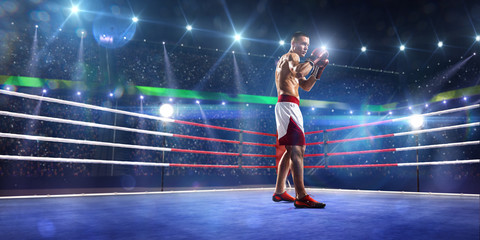 Fototapeta na wymiar Professionl boxer is standing on the ring