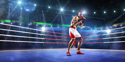 Professionl boxer is standing on the ring