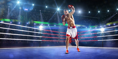 Professionl boxer is standing on the ring