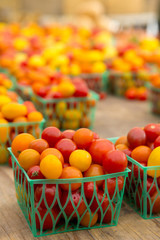 Organic Tomatoes