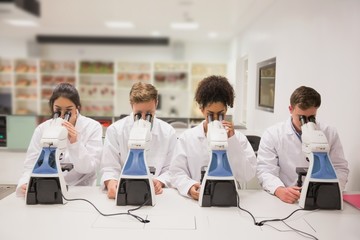 Medical students working with microscope