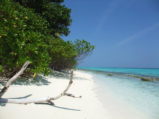 spiaggia maldiviana