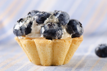 A fresh blueberry cake