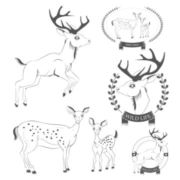 Set of vintage deer, emblems, labels, logo vector