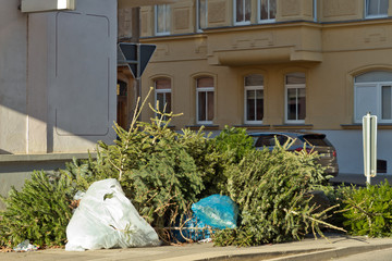 Alte Weihnachtsbäume