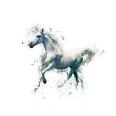 Obraz na płótnie Canvas White horse, abstract animal concept isolated on white