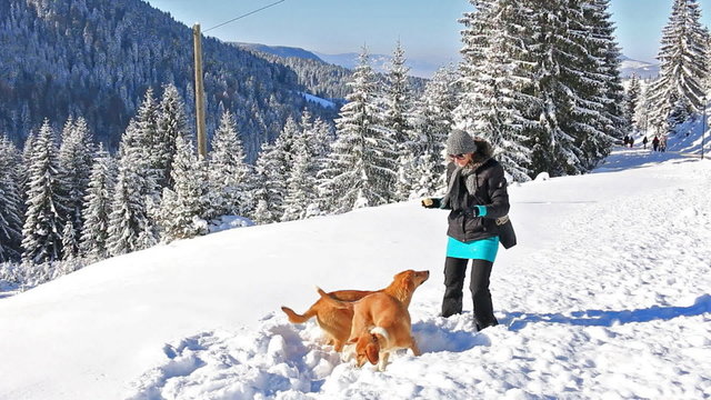 Happy woman plays with dogs in snow on mountain