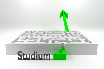 grüner Pfeil durchquert Labyrinth Studium Erfolg