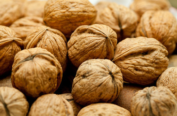 Circassian walnut in heap