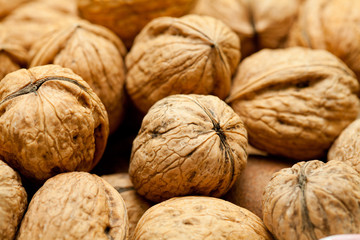 Circassian walnut in heap