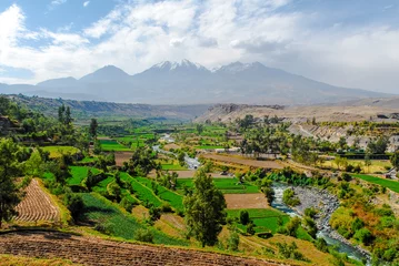 Foto op Plexiglas Inca Garden and Misti Volcano - Arequipa, Peru © demerzel21