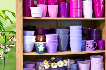 flowerpots in a shelf in a market