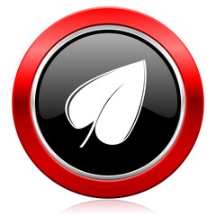 nature icon leaf symbol