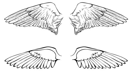two wings