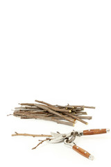 Secateurs with fruit twigs on white - pruning concept