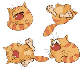 Rolgordijnen Set of cartoon cats © liusa