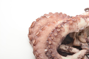 Pulpo cocido, detalle