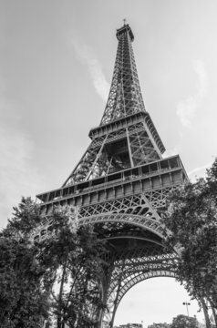 Eiffel black and white