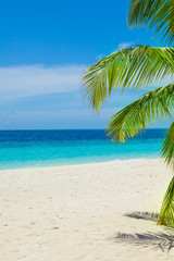 Rest in Paradise - Malediven - Palme am Strand