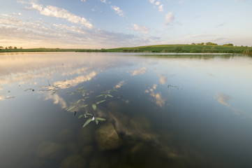 mały staw otoczony wiosennymi polami © Mike Mareen