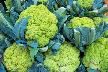 Fresh broccoli for sale