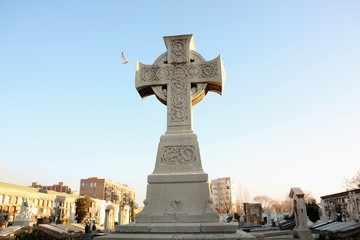 Kreuz mit Möwe