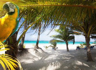 Art Vacation on Caribbean Beach Paradise