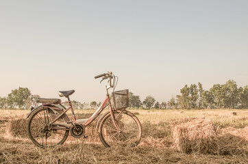 Fototapeta na wymiar Beautiful landscape image with Bicycle