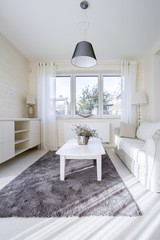 Bright living room with dark carpet
