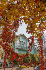 Осень в парке в старинной усадьбе в Москве
