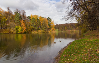 Осенний пейзаж в парке с прудами