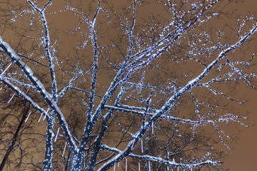 Новогоднее световое украшение города - гирлянды на деревьях © Igor Gorshkov